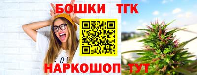 шишки Нальчик