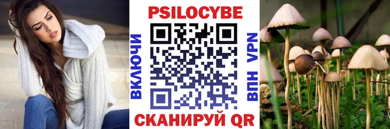 купить   MEGA   Галлюциногенные грибы Psilocybe  Новосибирск 