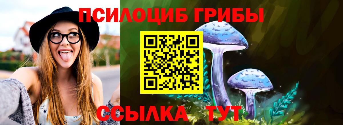 Псилоцибиновые грибы мухоморы  Вход с VPN  Новосибирск  купить наркотики сайты  Галлюциногенные грибы Psilocybine cubensis 