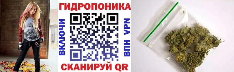 Марихуана семена Новосибирск
